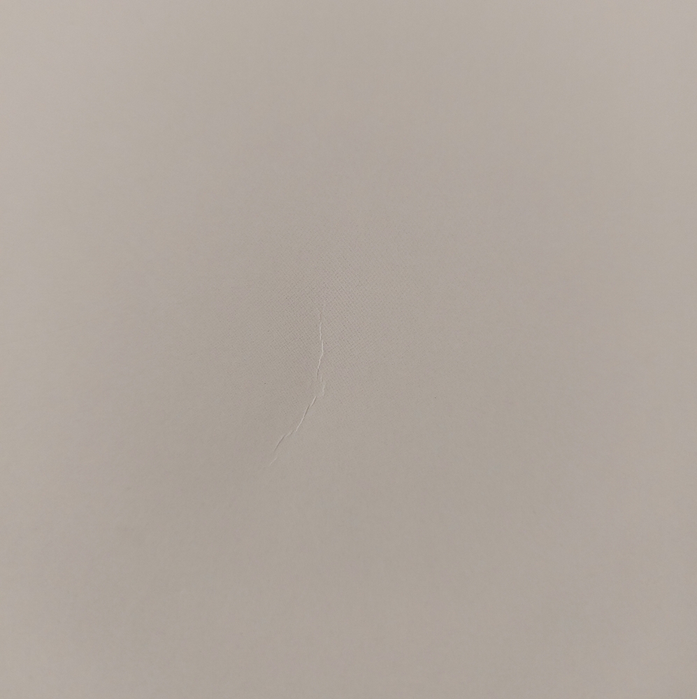 NWOT, Studio | Felines Notebook - Picture 15 of 17